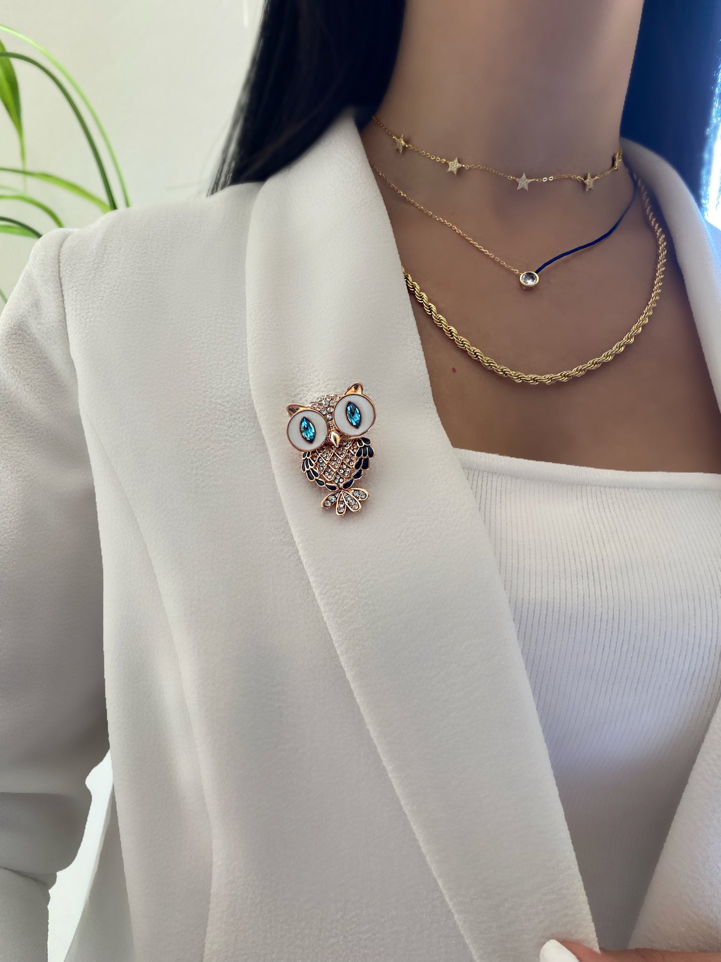 THE OWL Brooch